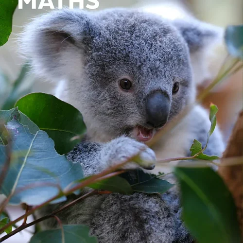 Milestone Maths A2